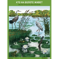 Парциальная программа "Юный эколог" Плакат Кто на болоте живет