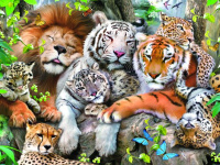 Пазлы 500 деталей Кошачий Сон 3D A Cat Nap