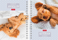 Записная книжка А6 80 л Носики-курносики сопят спираль клетка тв двойная 30180