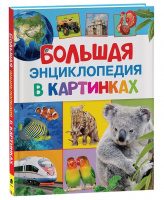 Энц большая в картинках