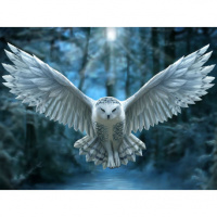 Пазлы 500 деталей Ночной Страж 3D Snowy Owl