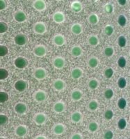 Цвет бумага для творчества самокл А4 Зеленая крупный горох