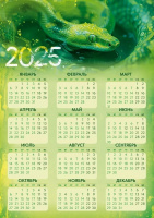 Календарь 2025 листовой А4 Символ года 63.161