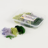 Набор Сухоцветов Мох