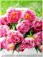 Пакет Натюрэль 30*40/30 пвд пробивная