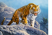 Пазлы 180 Тигр на Скале