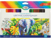 Карандаш 36 цв Гамма Классические 050918_05