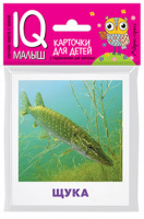 Карточки умный малыш Пресноводные рыбы 17 цветных карточек