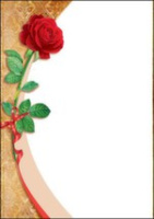 Сертификат без надписи роза 230гр 7200280