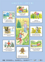 Парциальная программа "Юный эколог" Плакат Зачем люди ходят в лес