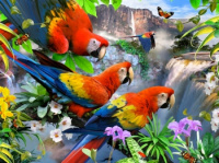 Пазлы 500 деталей Полет Ара 3D Flight of The Macaw