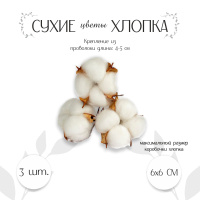 Сухоцвет Хлопок белый 3 шт 4104734