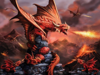 Пазлы 500 деталей Огненный Дракон 3D Fire Dragon