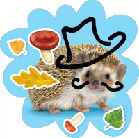 Украшение на скотче Ежик в шляпе 150*150 мм 079.414