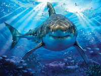 Пазлы 500 деталей Большая Белая Акула 3D Great White Shark
