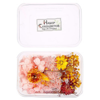 Набор Сухоцветов большой (розовый, желтый)