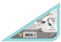 Папка А5 для тетр молния сверху пластик 230*190*50 мм Для девочек ПМ-А5-02