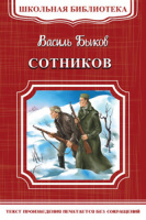 Школьная библиотека Быков Сотников