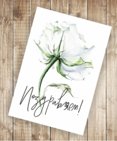 Открытка А6 Поздравляем! одинарная (белая роза) ПО 18