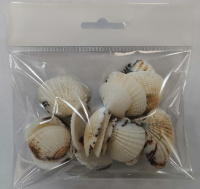 Набор Ракушек Гарундэй 80 гр 