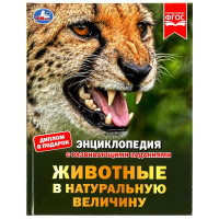 Энц с развивающими заданиями Животные в натуральную величину ФГОС