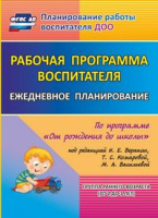 Ежедневное планирование (от 2 до 3 лет) Группа раннего возраста рабочая программа воспитателя ФГОС