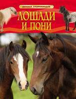 Энц детская Лошади и пони красная