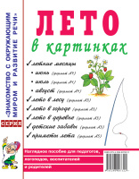 Лето в картинках Наглядное пособие для педагогов, логопедов, воспитателей и родителей А4