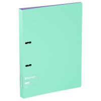 Папка А4 2 D-кольца 24 мм 0,6мм Haze мята, карман