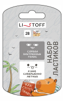 Ластик Listoff Капибара 2 шт ЛП20036