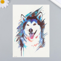 Татуировка на тело цветная Хаски 21*14.8см