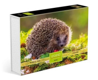 Пазлы 500 Ежик на полянке Legend Macro подарочная коробка + постер