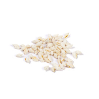 Набор Ракушек Nassa Cooked белая 100гр DRF-008