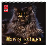 Календарь 2025 на спирали Магия кошки 32*32см