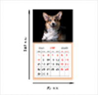 Календарь 2024 на магните отрывной Собака корги 9.5*16.5см