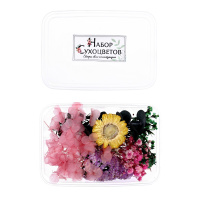 Набор Сухоцветов малый (розовый)