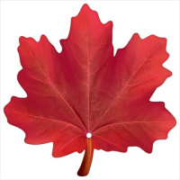 Украшение на скотче Кленовый лист бордо 96*96 мм 3001306