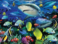 Пазлы 63 детали Акульи Воды 3D Shark Water