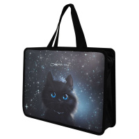 Папка А4 для тетр молния сверху с ручками пластик расширенное дно Принцесса Луна 69275