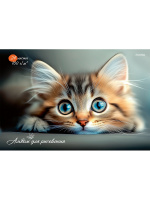 Альбом для рисования 24 л А4 склейка Котенок-2 100 гр/м2 24-7753