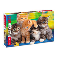 Пазлы 500 Дружные котята