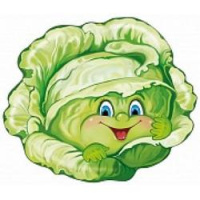 Плакат-мини вырубка Капуста А4 ФМ1-015683, 14004