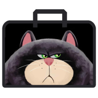 Папка А4 для тетр молния сверху с ручками пластик Недовольный кот 34*24*15