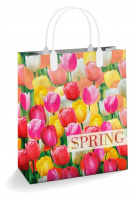 Пакет Пора тюльпанов Spring 23*27/150 мкм мягкий пластик