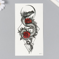 Татуировка на тело цветная Дракон розы геометрия 11.4*21см