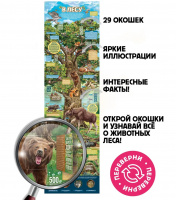 Плакат с окошками Секреты леса