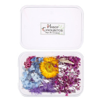 Набор Сухоцветов большой (голубой, желтый, сиреневый)