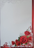 Сертификат без названия розы 230гр 7200290