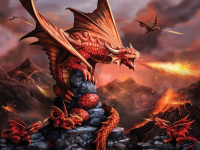 Пазлы 500 деталей Огненный Дракон 3D Fire Dragon