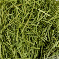 Декоративный наполнитель Трава Зеленый 50 гр BDF-50